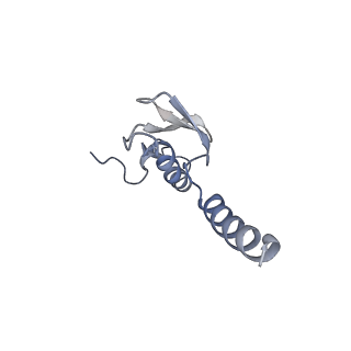 12081_7b7d_Ll_v1-0
Yeast 80S ribosome bound to eEF3 and A/A- and P/P-tRNAs