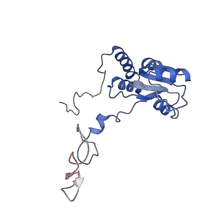 12081_7b7d_Lm_v1-0
Yeast 80S ribosome bound to eEF3 and A/A- and P/P-tRNAs