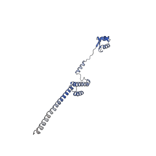 12081_7b7d_Ln_v1-0
Yeast 80S ribosome bound to eEF3 and A/A- and P/P-tRNAs