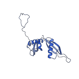 12081_7b7d_Lo_v1-0
Yeast 80S ribosome bound to eEF3 and A/A- and P/P-tRNAs