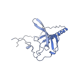 12081_7b7d_Lp_v1-0
Yeast 80S ribosome bound to eEF3 and A/A- and P/P-tRNAs