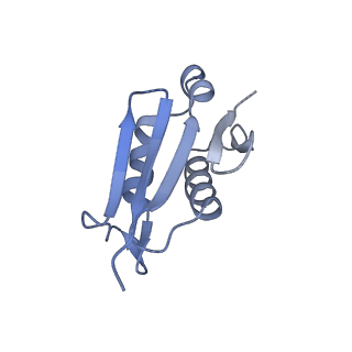 12081_7b7d_Lq_v1-0
Yeast 80S ribosome bound to eEF3 and A/A- and P/P-tRNAs