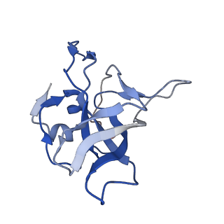 12081_7b7d_Lr_v1-0
Yeast 80S ribosome bound to eEF3 and A/A- and P/P-tRNAs