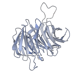 12081_7b7d_O_v1-0
Yeast 80S ribosome bound to eEF3 and A/A- and P/P-tRNAs