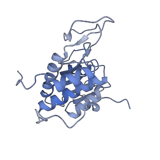 12081_7b7d_P_v1-0
Yeast 80S ribosome bound to eEF3 and A/A- and P/P-tRNAs