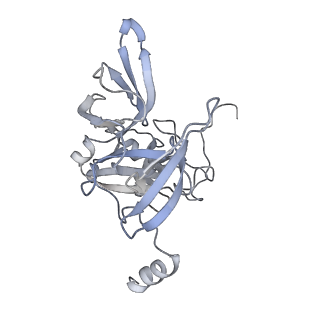 12081_7b7d_S_v1-0
Yeast 80S ribosome bound to eEF3 and A/A- and P/P-tRNAs