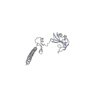 12081_7b7d_T_v1-0
Yeast 80S ribosome bound to eEF3 and A/A- and P/P-tRNAs