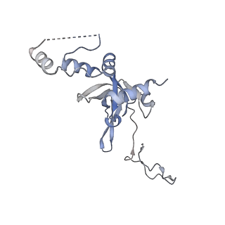 12081_7b7d_V_v1-0
Yeast 80S ribosome bound to eEF3 and A/A- and P/P-tRNAs