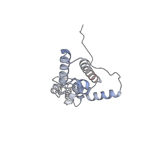 12081_7b7d_W_v1-0
Yeast 80S ribosome bound to eEF3 and A/A- and P/P-tRNAs