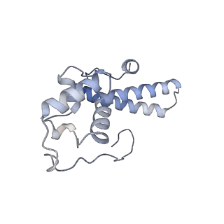 12081_7b7d_Y_v1-0
Yeast 80S ribosome bound to eEF3 and A/A- and P/P-tRNAs
