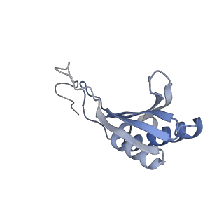 12081_7b7d_Z_v1-0
Yeast 80S ribosome bound to eEF3 and A/A- and P/P-tRNAs
