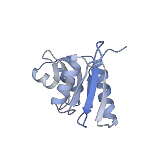 12081_7b7d_b_v1-0
Yeast 80S ribosome bound to eEF3 and A/A- and P/P-tRNAs
