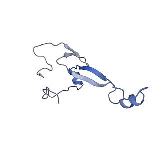 12081_7b7d_e_v1-0
Yeast 80S ribosome bound to eEF3 and A/A- and P/P-tRNAs