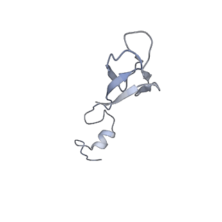 12081_7b7d_f_v1-0
Yeast 80S ribosome bound to eEF3 and A/A- and P/P-tRNAs