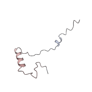 12081_7b7d_g_v1-0
Yeast 80S ribosome bound to eEF3 and A/A- and P/P-tRNAs