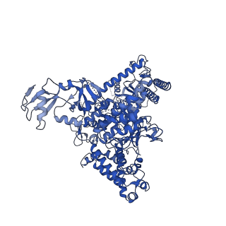 12087_7b7u_A_v1-2
Cryo-EM structure of mammalian RNA polymerase II in complex with human RPAP2