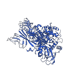 12087_7b7u_B_v1-2
Cryo-EM structure of mammalian RNA polymerase II in complex with human RPAP2