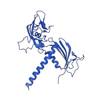 12087_7b7u_C_v1-2
Cryo-EM structure of mammalian RNA polymerase II in complex with human RPAP2