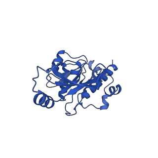 12087_7b7u_E_v1-2
Cryo-EM structure of mammalian RNA polymerase II in complex with human RPAP2