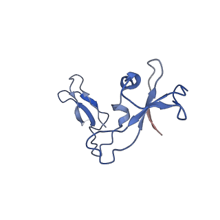 12087_7b7u_I_v1-2
Cryo-EM structure of mammalian RNA polymerase II in complex with human RPAP2