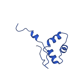 12087_7b7u_J_v1-2
Cryo-EM structure of mammalian RNA polymerase II in complex with human RPAP2