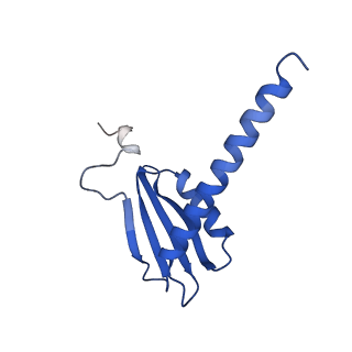 12087_7b7u_K_v1-2
Cryo-EM structure of mammalian RNA polymerase II in complex with human RPAP2
