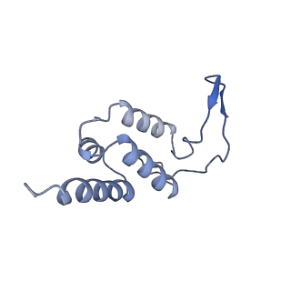 12087_7b7u_M_v1-2
Cryo-EM structure of mammalian RNA polymerase II in complex with human RPAP2