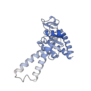 15905_8b7y_D_v1-1
Cryo-EM structure of the E.coli 70S ribosome in complex with the antibiotic Myxovalargin B.