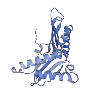 15905_8b7y_E_v1-1
Cryo-EM structure of the E.coli 70S ribosome in complex with the antibiotic Myxovalargin B.