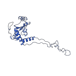 15905_8b7y_M_v1-1
Cryo-EM structure of the E.coli 70S ribosome in complex with the antibiotic Myxovalargin B.