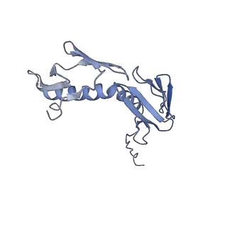 15905_8b7y_O_v1-1
Cryo-EM structure of the E.coli 70S ribosome in complex with the antibiotic Myxovalargin B.