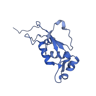 15905_8b7y_R_v1-1
Cryo-EM structure of the E.coli 70S ribosome in complex with the antibiotic Myxovalargin B.