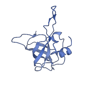 15905_8b7y_S_v1-1
Cryo-EM structure of the E.coli 70S ribosome in complex with the antibiotic Myxovalargin B.