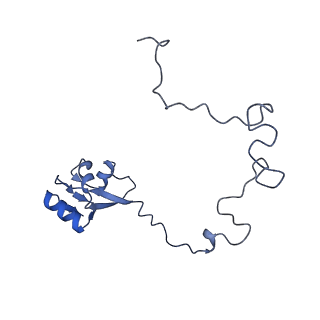 15905_8b7y_T_v1-1
Cryo-EM structure of the E.coli 70S ribosome in complex with the antibiotic Myxovalargin B.