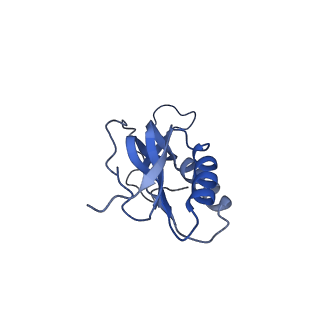 15905_8b7y_U_v1-1
Cryo-EM structure of the E.coli 70S ribosome in complex with the antibiotic Myxovalargin B.