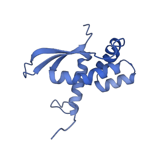 15905_8b7y_V_v1-1
Cryo-EM structure of the E.coli 70S ribosome in complex with the antibiotic Myxovalargin B.