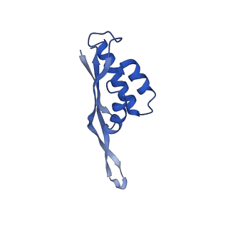 15905_8b7y_a_v1-1
Cryo-EM structure of the E.coli 70S ribosome in complex with the antibiotic Myxovalargin B.