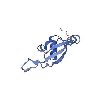 15905_8b7y_b_v1-1
Cryo-EM structure of the E.coli 70S ribosome in complex with the antibiotic Myxovalargin B.
