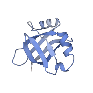 15905_8b7y_d_v1-1
Cryo-EM structure of the E.coli 70S ribosome in complex with the antibiotic Myxovalargin B.