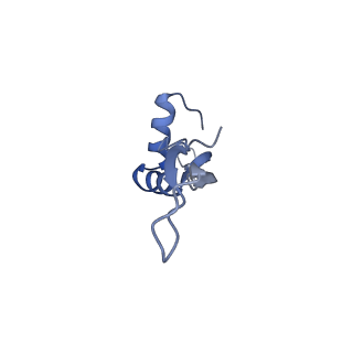 15905_8b7y_f_v1-1
Cryo-EM structure of the E.coli 70S ribosome in complex with the antibiotic Myxovalargin B.