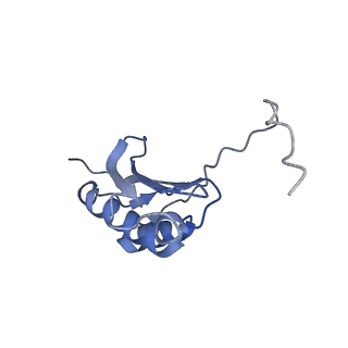 15905_8b7y_p_v1-1
Cryo-EM structure of the E.coli 70S ribosome in complex with the antibiotic Myxovalargin B.