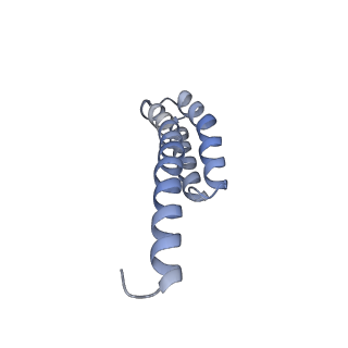 15905_8b7y_y_v1-1
Cryo-EM structure of the E.coli 70S ribosome in complex with the antibiotic Myxovalargin B.