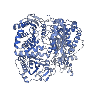 7062_6b70_A_v1-4
Cryo-EM structure of human insulin degrading enzyme in complex with FAB H11-E heavy chain, FAB H11-E light chain and insulin