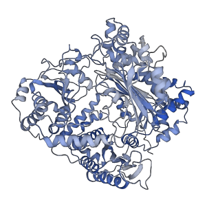 7062_6b70_B_v1-4
Cryo-EM structure of human insulin degrading enzyme in complex with FAB H11-E heavy chain, FAB H11-E light chain and insulin