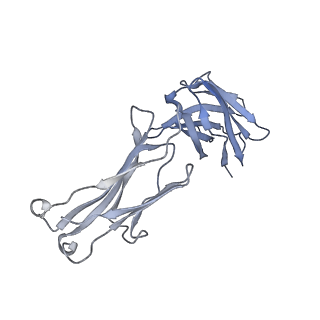 7062_6b70_C_v1-4
Cryo-EM structure of human insulin degrading enzyme in complex with FAB H11-E heavy chain, FAB H11-E light chain and insulin
