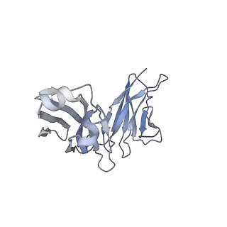 7062_6b70_D_v1-4
Cryo-EM structure of human insulin degrading enzyme in complex with FAB H11-E heavy chain, FAB H11-E light chain and insulin