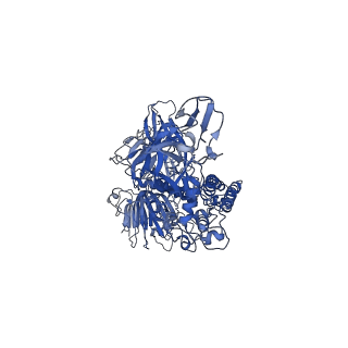 7063_6b7n_B_v1-4
Cryo-electron microscopy structure of porcine delta coronavirus spike protein in the pre-fusion state