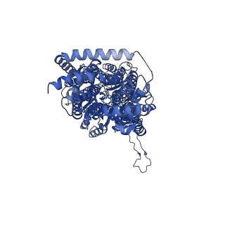 12088_7b8p_A_v1-2
Acinetobacter baumannii multidrug transporter AdeB in OOO state