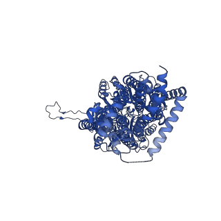 12088_7b8p_C_v1-2
Acinetobacter baumannii multidrug transporter AdeB in OOO state