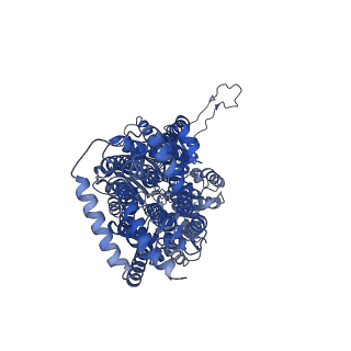 12089_7b8q_A_v1-2
Acinetobacter baumannii multidrug transporter AdeB in L*OO state